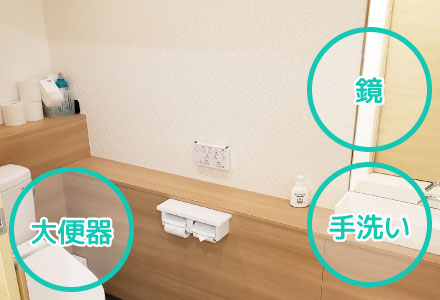 撮影したトイレの写真｜大便器、鏡、手洗い